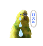ひまひま日和2（個別スタンプ：17）
