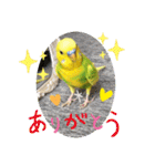 ひまひま日和2（個別スタンプ：20）