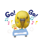 ひまひま日和2（個別スタンプ：24）