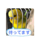 ひまひま日和2（個別スタンプ：27）