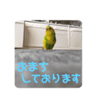 ひまひま日和2（個別スタンプ：28）