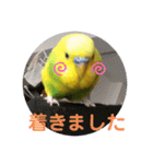 ひまひま日和2（個別スタンプ：29）