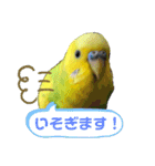 ひまひま日和2（個別スタンプ：30）