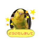 ひまひま日和2（個別スタンプ：31）
