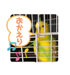 ひまひま日和2（個別スタンプ：33）