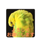 ひまひま日和2（個別スタンプ：34）