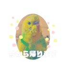 ひまひま日和2（個別スタンプ：35）