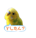 ひまひま日和2（個別スタンプ：36）