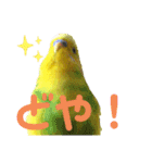 ひまひま日和2（個別スタンプ：37）