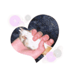 ビオラでーす（個別スタンプ：5）