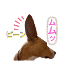 ビオラでーす（個別スタンプ：7）