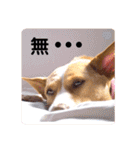 ビオラでーす（個別スタンプ：10）
