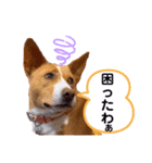 ビオラでーす（個別スタンプ：12）