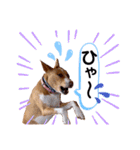 ビオラでーす（個別スタンプ：18）