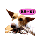 ビオラでーす（個別スタンプ：23）