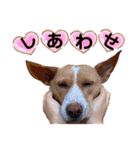 ビオラでーす（個別スタンプ：33）