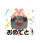もりじょー3（個別スタンプ：16）