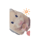 みんな子供（個別スタンプ：5）