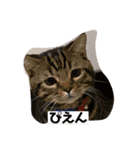 みんな子供（個別スタンプ：6）