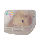 みんな子供（個別スタンプ：8）