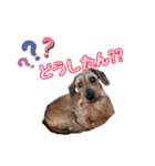 vanilla＆moka  2（個別スタンプ：10）