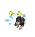 vanilla＆moka  2（個別スタンプ：11）