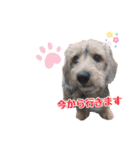 vanilla＆moka  2（個別スタンプ：16）