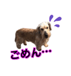 vanilla＆moka  3（個別スタンプ：13）