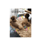 ゴンとキルアはとても元気です（個別スタンプ：24）