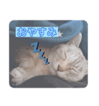 カワカワなチョロ（個別スタンプ：2）