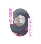 カワカワなチョロ（個別スタンプ：4）
