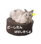 カワカワなチョロ（個別スタンプ：5）