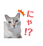 カワカワなチョロ（個別スタンプ：7）