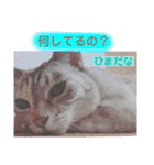 カワカワなチョロ（個別スタンプ：9）