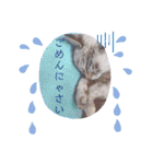 カワカワなチョロ（個別スタンプ：10）