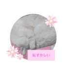 カワカワなチョロ（個別スタンプ：14）