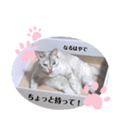 カワカワなチョロ（個別スタンプ：20）