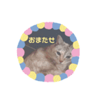 カワカワなチョロ（個別スタンプ：21）