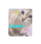 カワカワなチョロ（個別スタンプ：28）