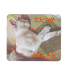 カワカワなチョロ（個別スタンプ：30）