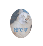 カワカワなチョロ（個別スタンプ：32）