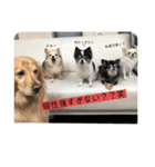 tofuの気持ち⑤（個別スタンプ：6）