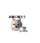 tofuの気持ち⑤（個別スタンプ：8）