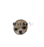 tofuの気持ち⑤（個別スタンプ：9）