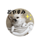 tofuの気持ち⑤（個別スタンプ：10）