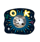 シベリアンハスキー★（個別スタンプ：22）