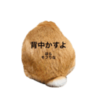 ロップイヤー ポムくんのスタンプ（個別スタンプ：7）