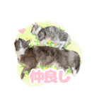 ねこva14期！（個別スタンプ：1）