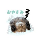 ねこva14期！（個別スタンプ：3）