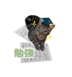 ねこva14期！（個別スタンプ：5）